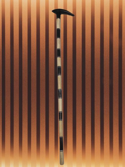 মহিষের সিং দ্বারা তৈরী (Grandfather's Walking Stick)