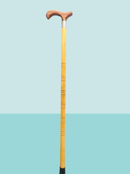 বেতের লাঠি (Grandfather's Walking Stick)